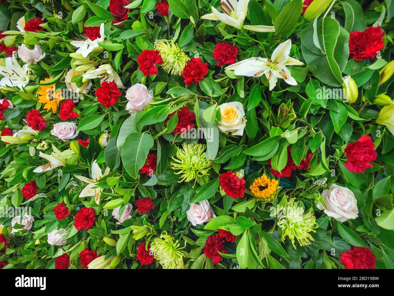 Mur coloré des fleurs et du feuillage Banque D'Images