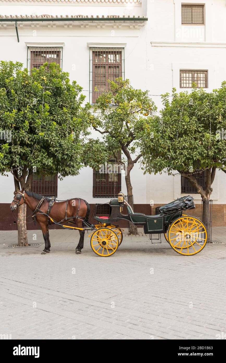 Un cheval de tourisme et un chariot en attente d'un tarif à Séville en Espagne Banque D'Images