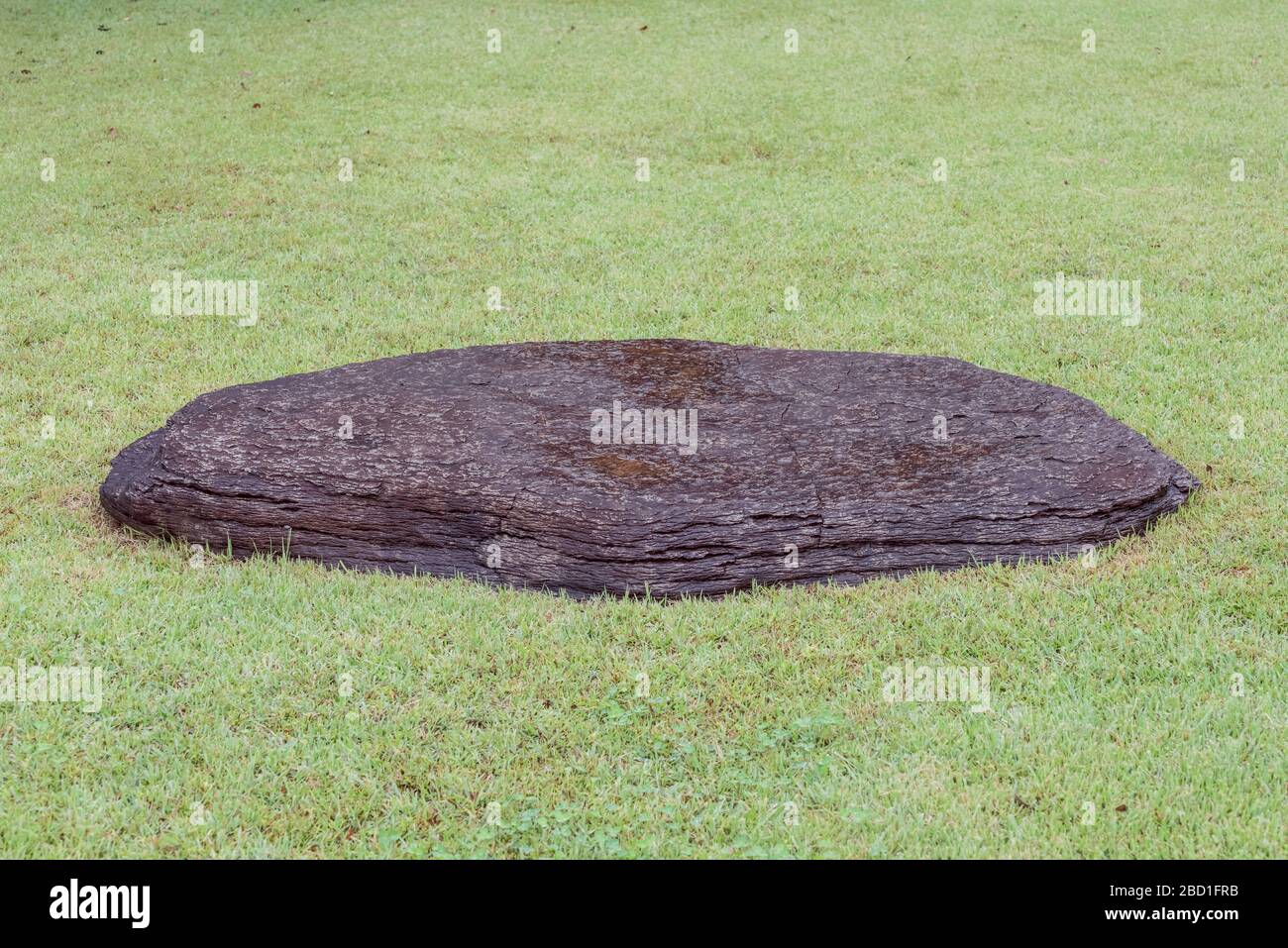 roche plate arrondie sur pelouse Banque D'Images