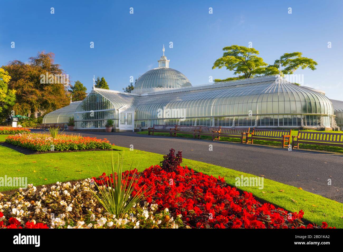 Kibble Palace, Botanic Gardens, Glasgow, Ecosse, Royaume-Uni, Europe Banque D'Images