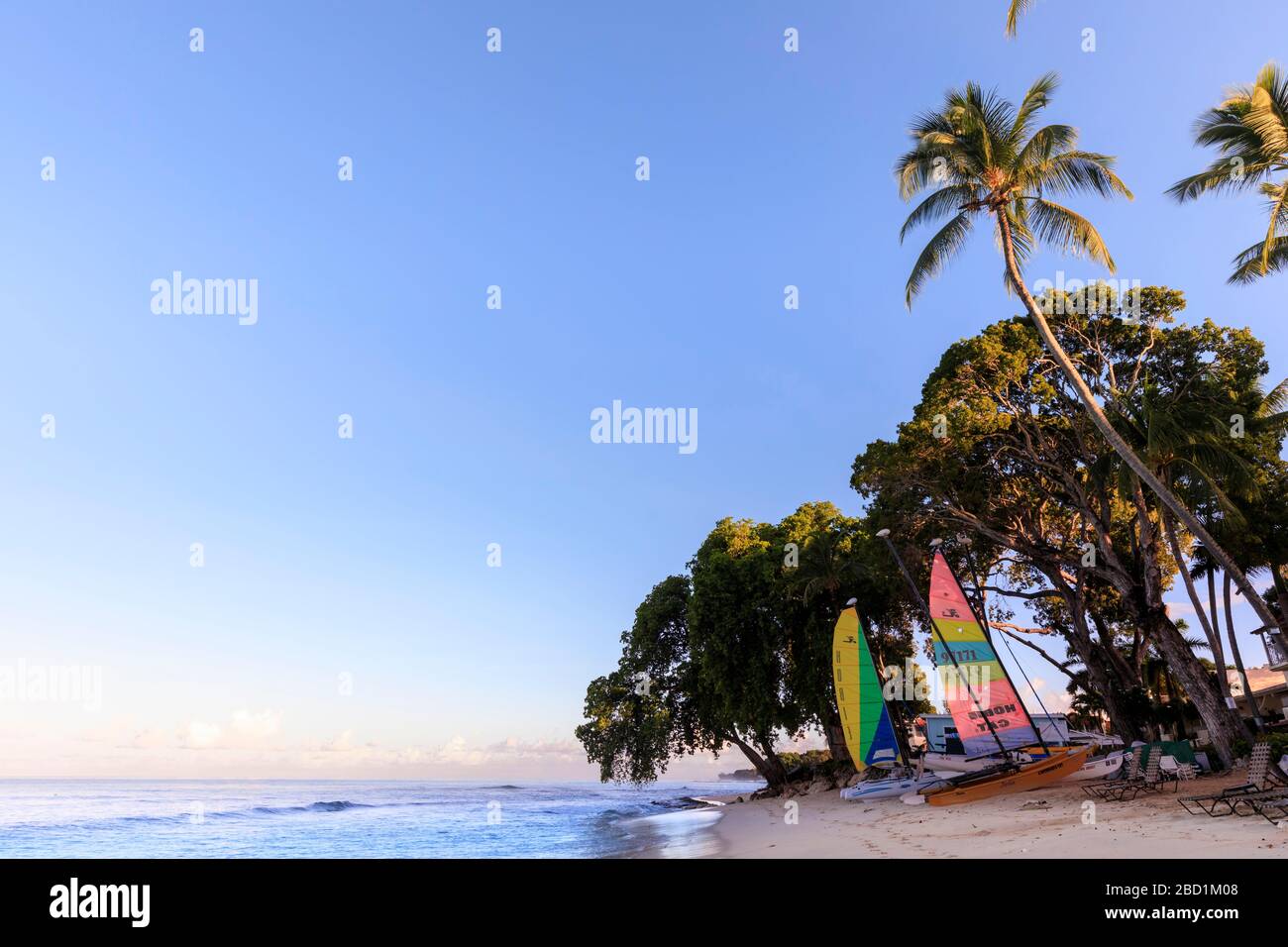 Paynes Bay, bateaux à voile colorés sur plage de sable rose, lever du soleil, palmiers, belle côte ouest, Barbade, îles Windward, Caraïbes Banque D'Images