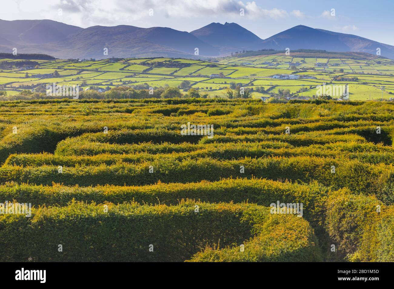 The Peace Maze, Castlewellan, County Down, Ulster, Irlande du Nord, Royaume-Uni, Europe Banque D'Images