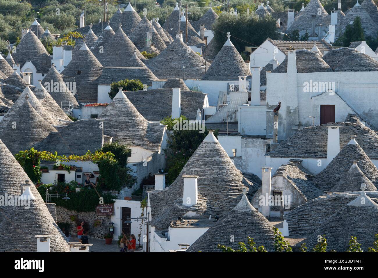 Toits coniques en pierre sèche sur trulli, maisons de commerce à Alberobello, site classé au patrimoine mondial de l'UNESCO, province de Bari, Pouilles, Italie, Europe Banque D'Images