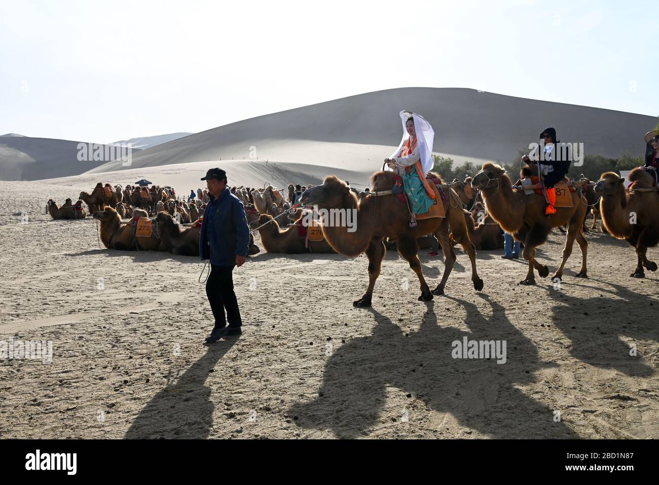 Les touristes sur les chameaux sont conduits dans les dunes de sable chantantes de Dunhuang, province du Gansu Nord-Ouest, Chine, Asie Banque D'Images