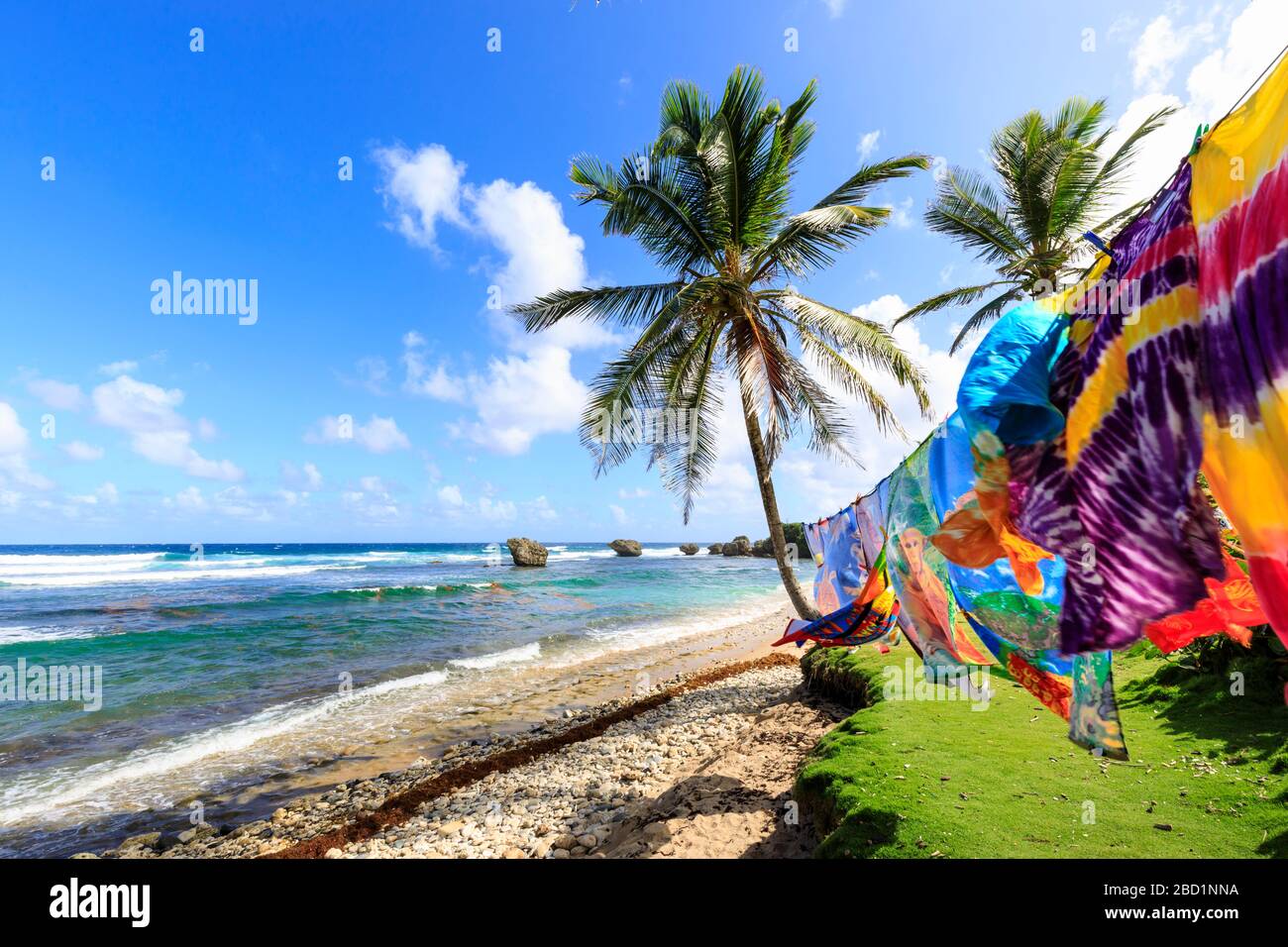 Bathsheba, vêtements colorés soufflent dans la brise, palmiers balayés par le vent, vagues de l'Atlantique, côte est sauvage, Barbade, îles Windward, Caraïbes Banque D'Images