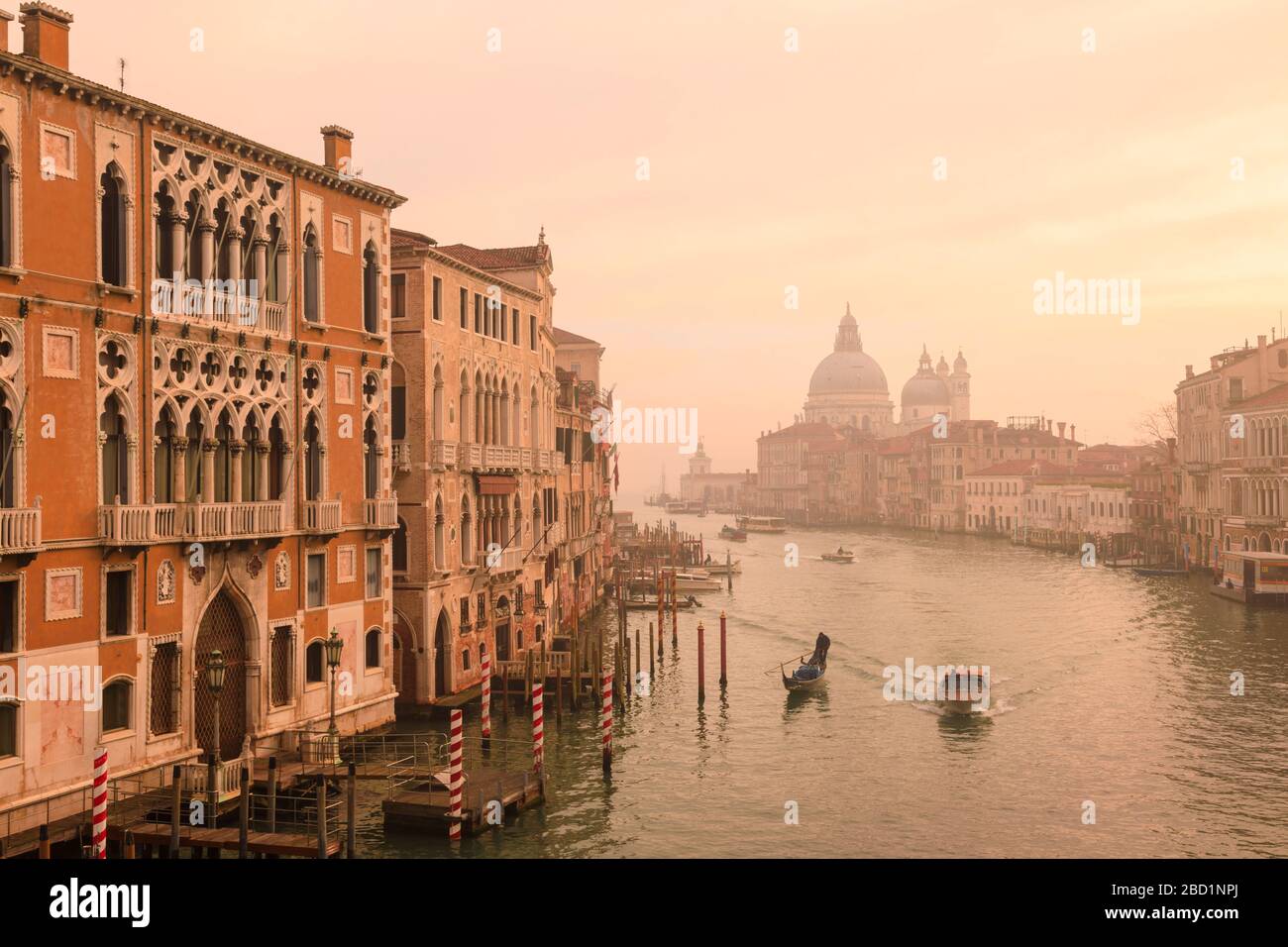 Magnifique Grand Canal, brouillard d'hiver, lumière dorée du matin, Santa Maria della Salute, Venise, site classé au patrimoine mondial de l'UNESCO, Vénétie, Italie, Europe Banque D'Images