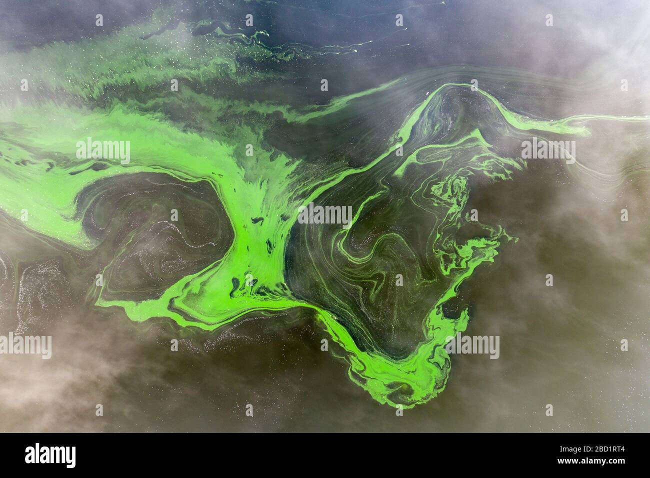 Vue aérienne par drone de tourbillons d'algues vertes dans un lac d'eau douce, Roadford Lake, Devon, Angleterre, Royaume-Uni, Europe Banque D'Images