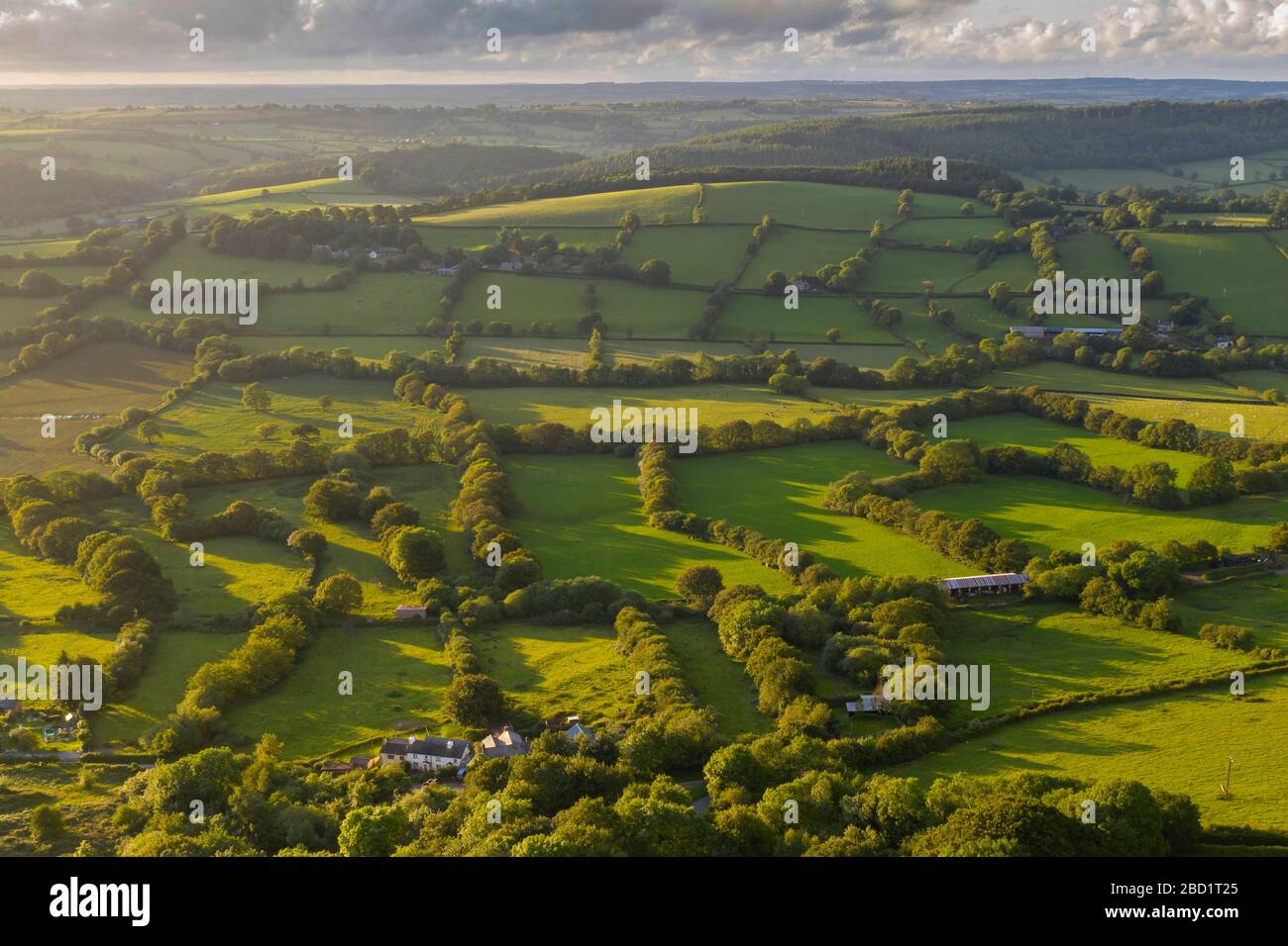 Vue aérienne par drone de campagne vallonnée en soirée, Devon, Angleterre, Royaume-Uni, Europe Banque D'Images