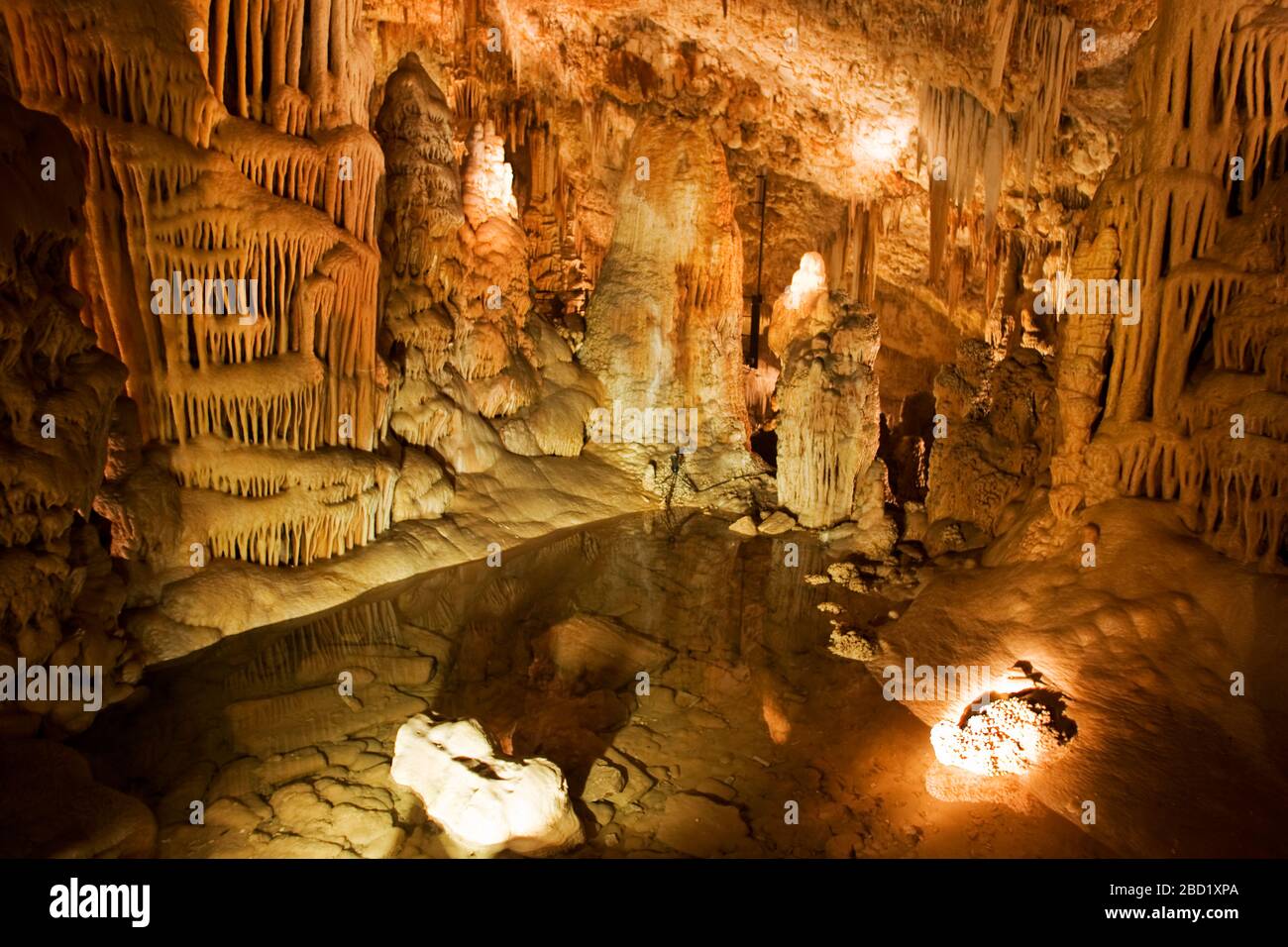 Corail de grotte à la réserve naturelle de la grotte de Soreq stalactite (également appelée grotte d'Avshalom). Cette grotte de 82 mètres de long de 60 mètres de large se trouve sur les pentes occidentales de Banque D'Images