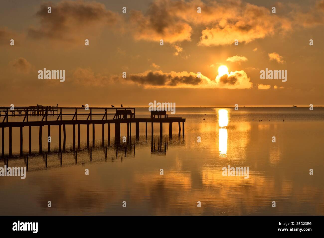 Coucher de soleil, vue sur la baie de Copano, piers privés silhouettés, mouettes de repos, vue lointaine sur le chalutier de pêche. Banque D'Images