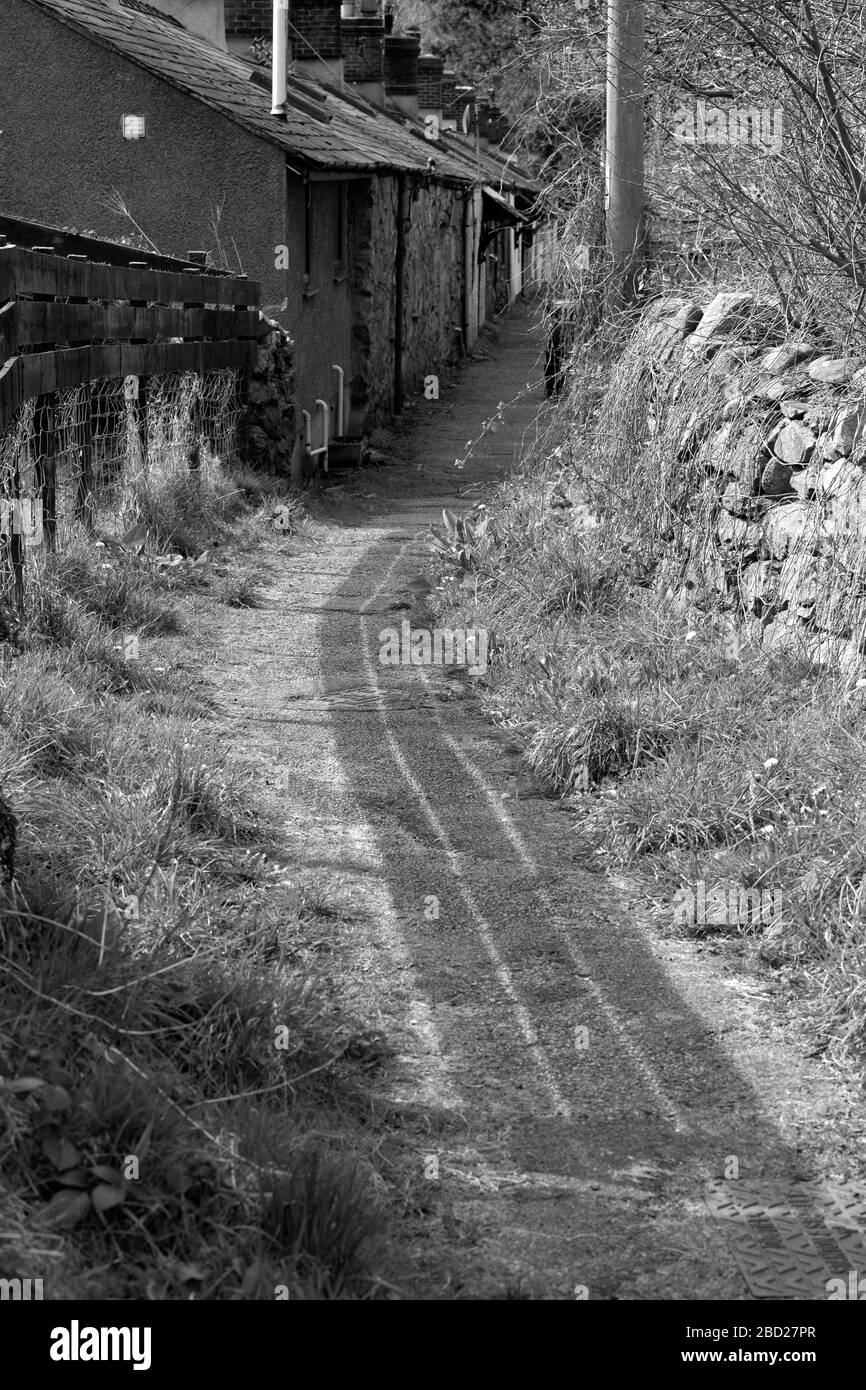 Photographie en noir et blanc d'un chemin vide le long d'une rue de village Banque D'Images