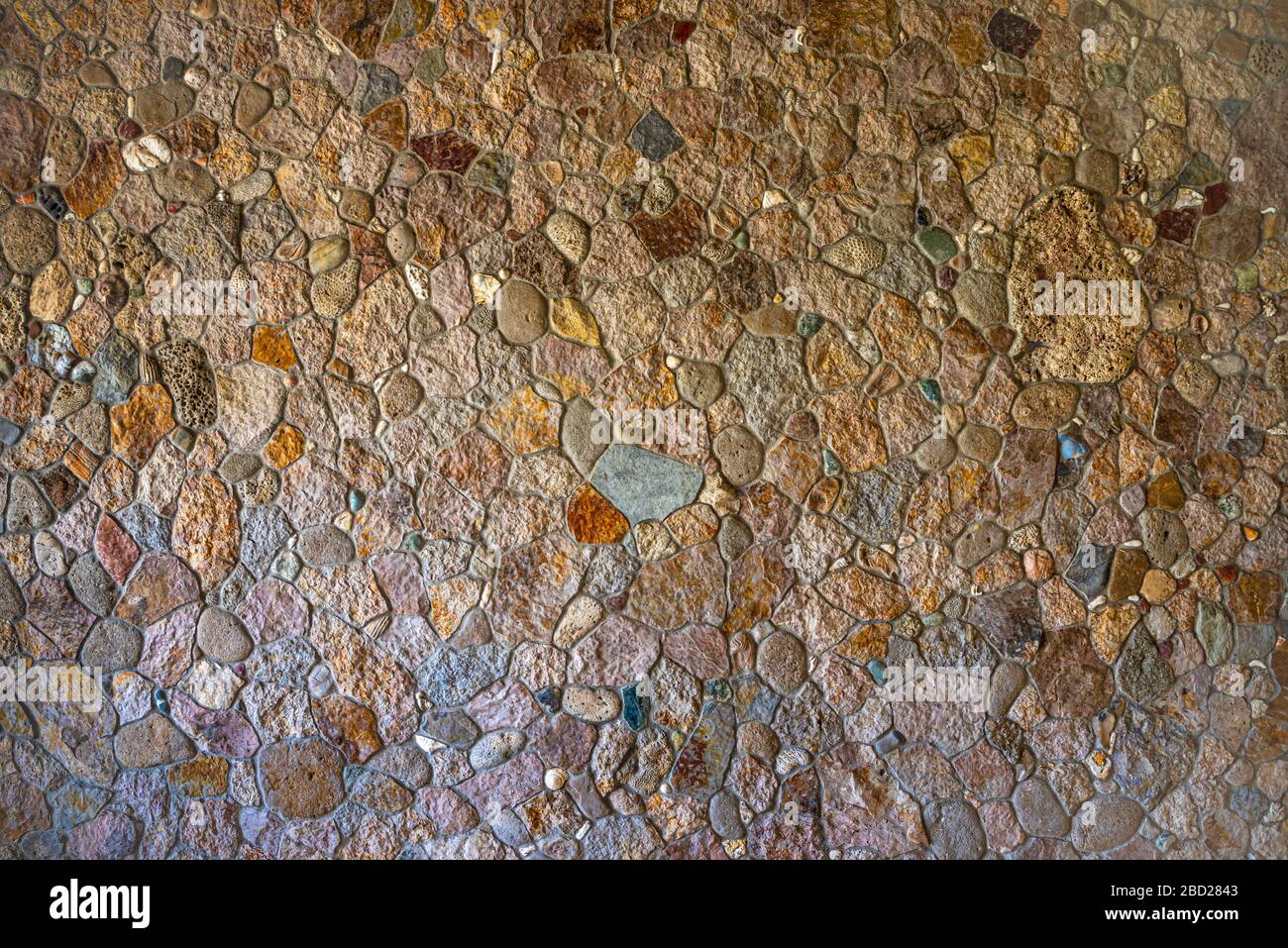 Texture de mur de pierre avec coquillages de mer Banque D'Images