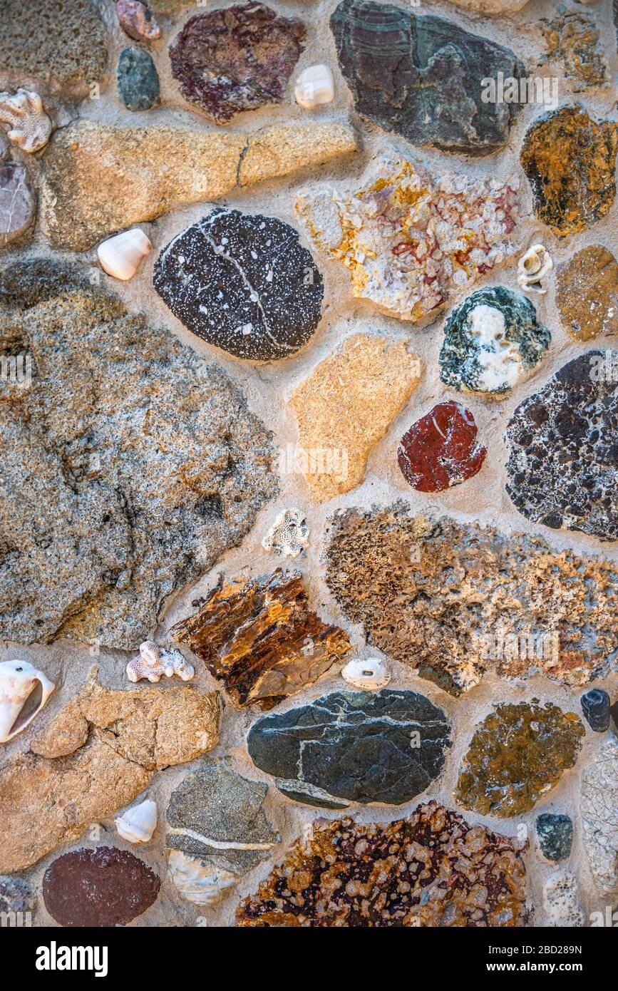 Texture de mur de pierre avec coquillages de mer Banque D'Images