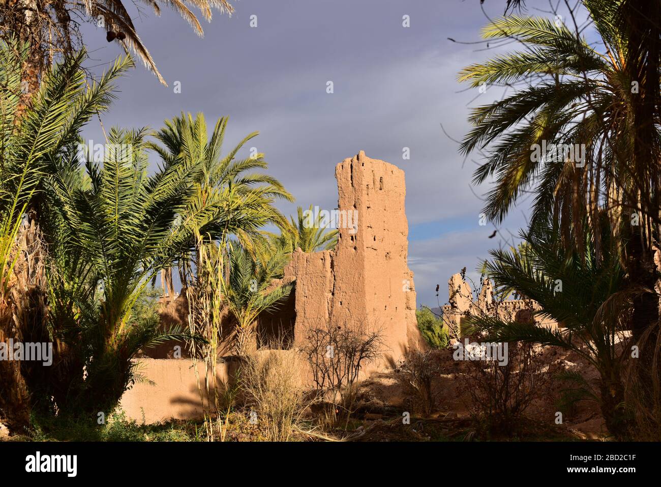 Vieille Kasbah entourée de palmiers dans l'oasis de Skoura, au Maroc Banque D'Images