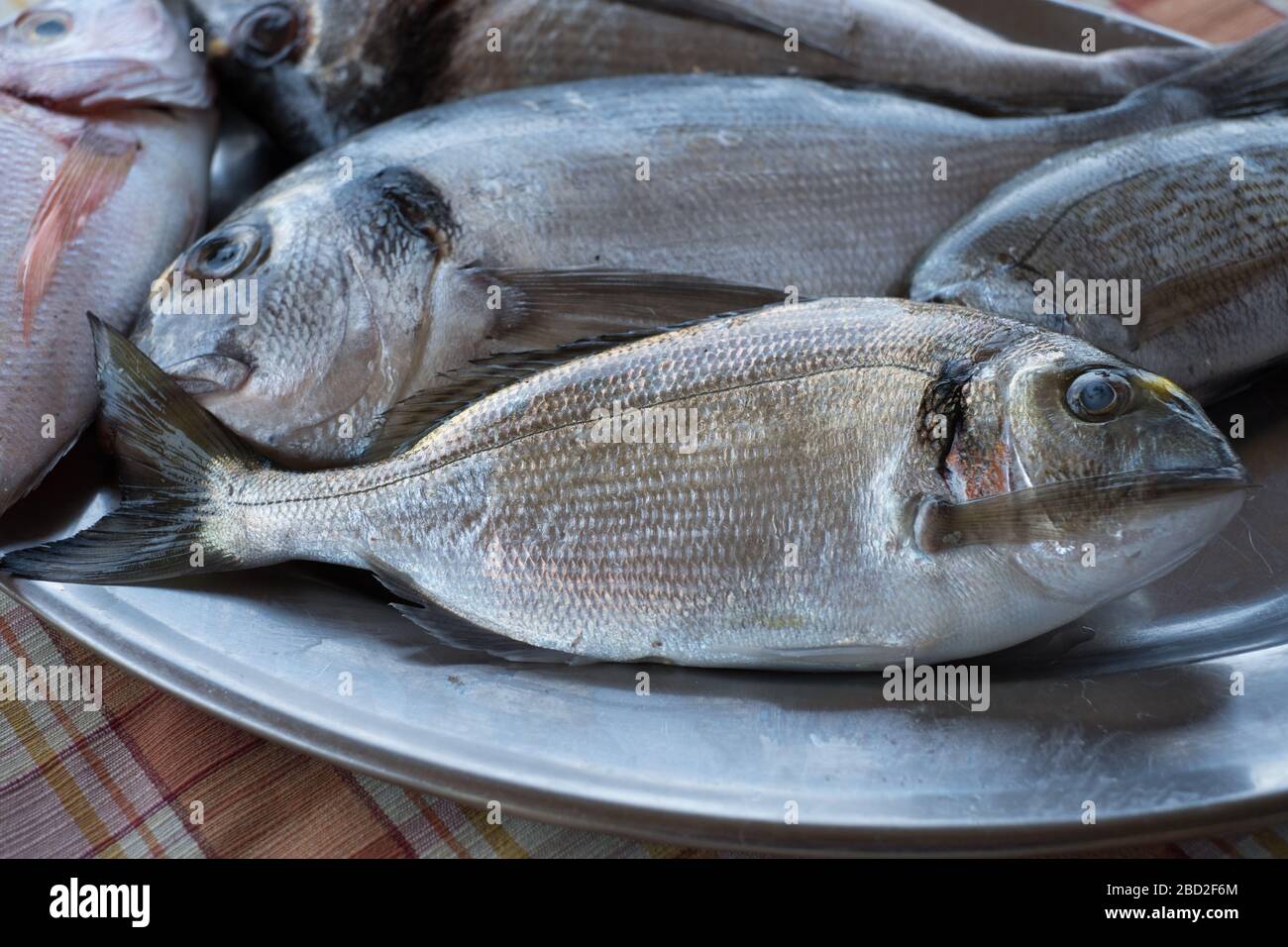 Pêchez au restaurant Faros à Afissos sur la péninsule de Pélion en Grèce Banque D'Images