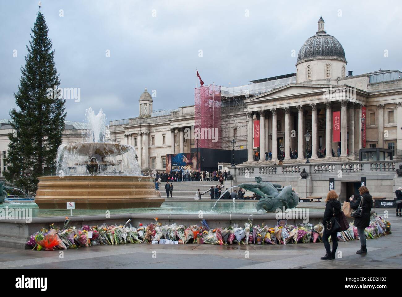 Sapin de Noël 2013 à Trafalgar Square, Charing Cross, Londres, N 5 DN Banque D'Images