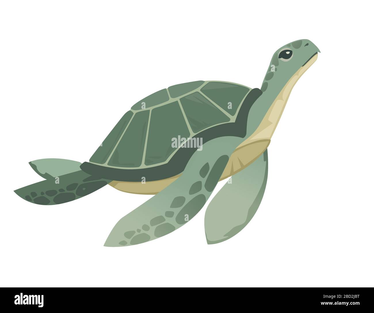 Grande tortue de mer verte caricature mignon animal design océan tortue nageant dans l'eau plate illustration vectorielle isolée sur fond blanc Illustration de Vecteur