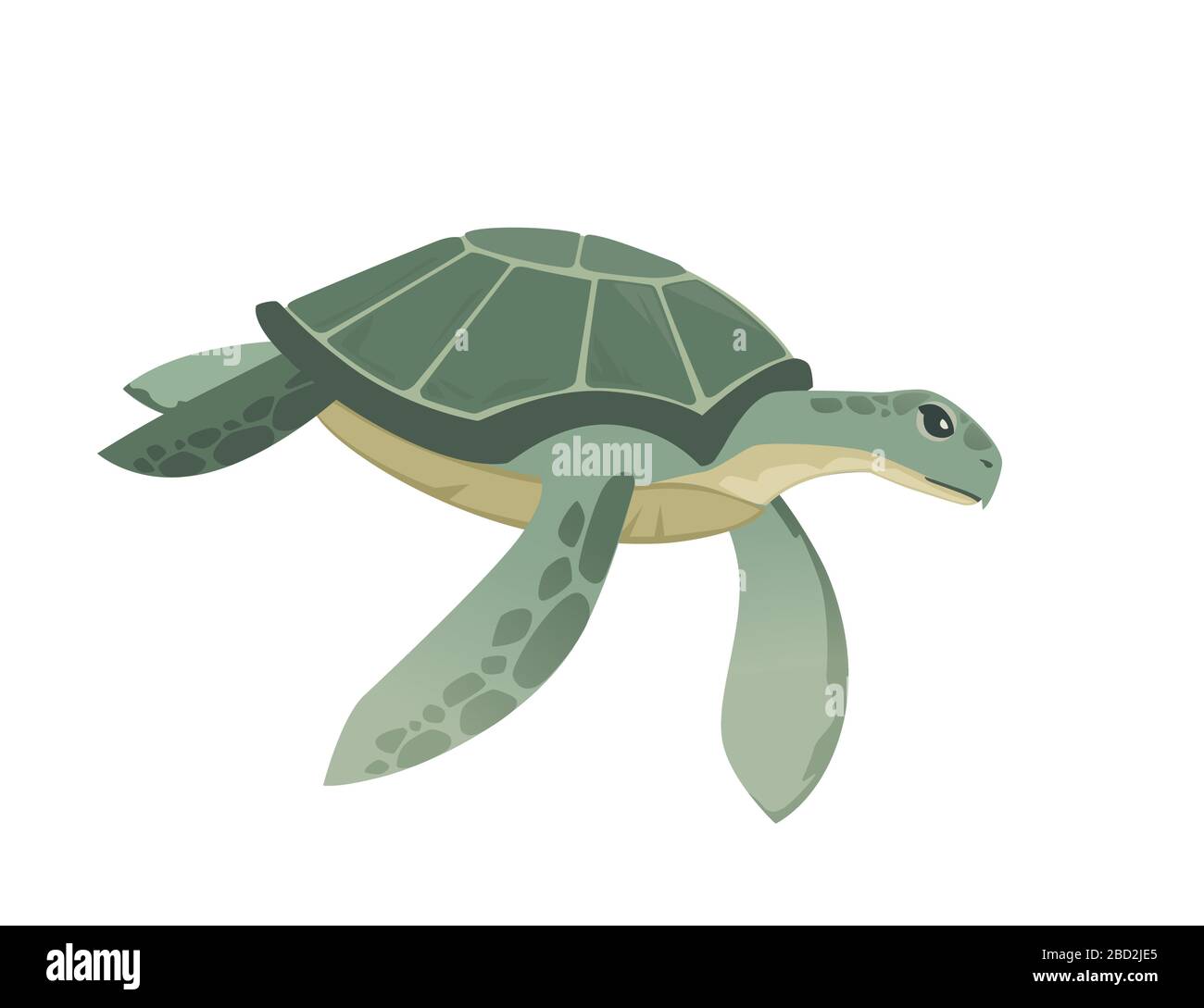 Grande tortue de mer verte caricature mignon animal design océan tortue nageant dans l'eau plate illustration vectorielle isolée sur fond blanc Illustration de Vecteur