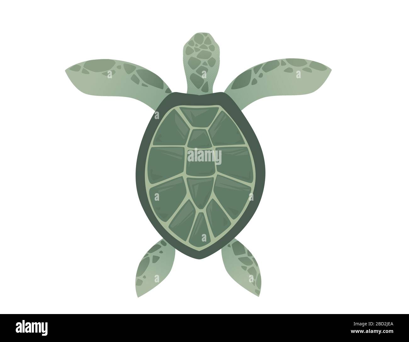 Grande tortue de mer verte caricature mignon animal design océan tortue nageant dans l'eau plate illustration vectorielle isolée sur fond blanc Illustration de Vecteur