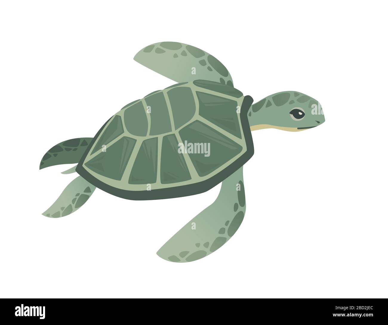 Grande tortue de mer verte caricature mignon animal design océan tortue nageant dans l'eau plate illustration vectorielle isolée sur fond blanc Illustration de Vecteur