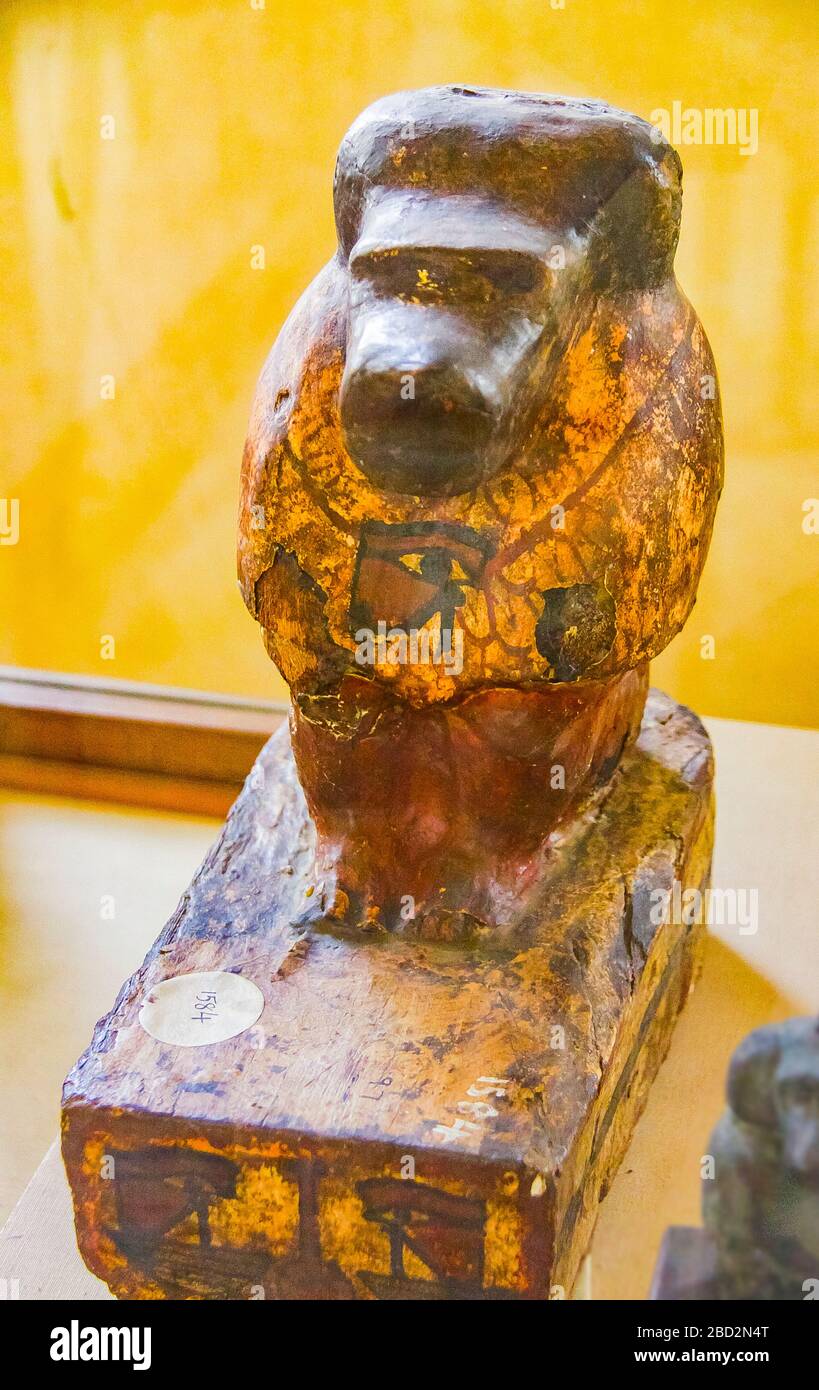 Egypte, Moyen Egypte, Musée de Mallawi, photos prises en 2009, avant son pillage en 2013. Une momie babouin, consacrée au dieu Thot. Banque D'Images