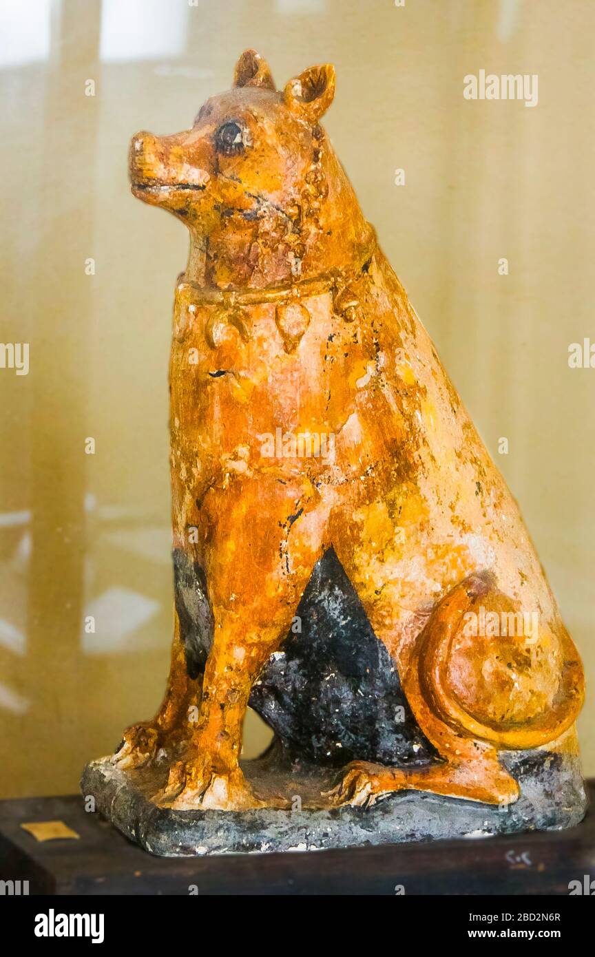 Egypte, Moyen Egypte, Musée de Mallawi, photos prises en 2009, avant son pillage en 2013. Un chien, époque romaine. Banque D'Images