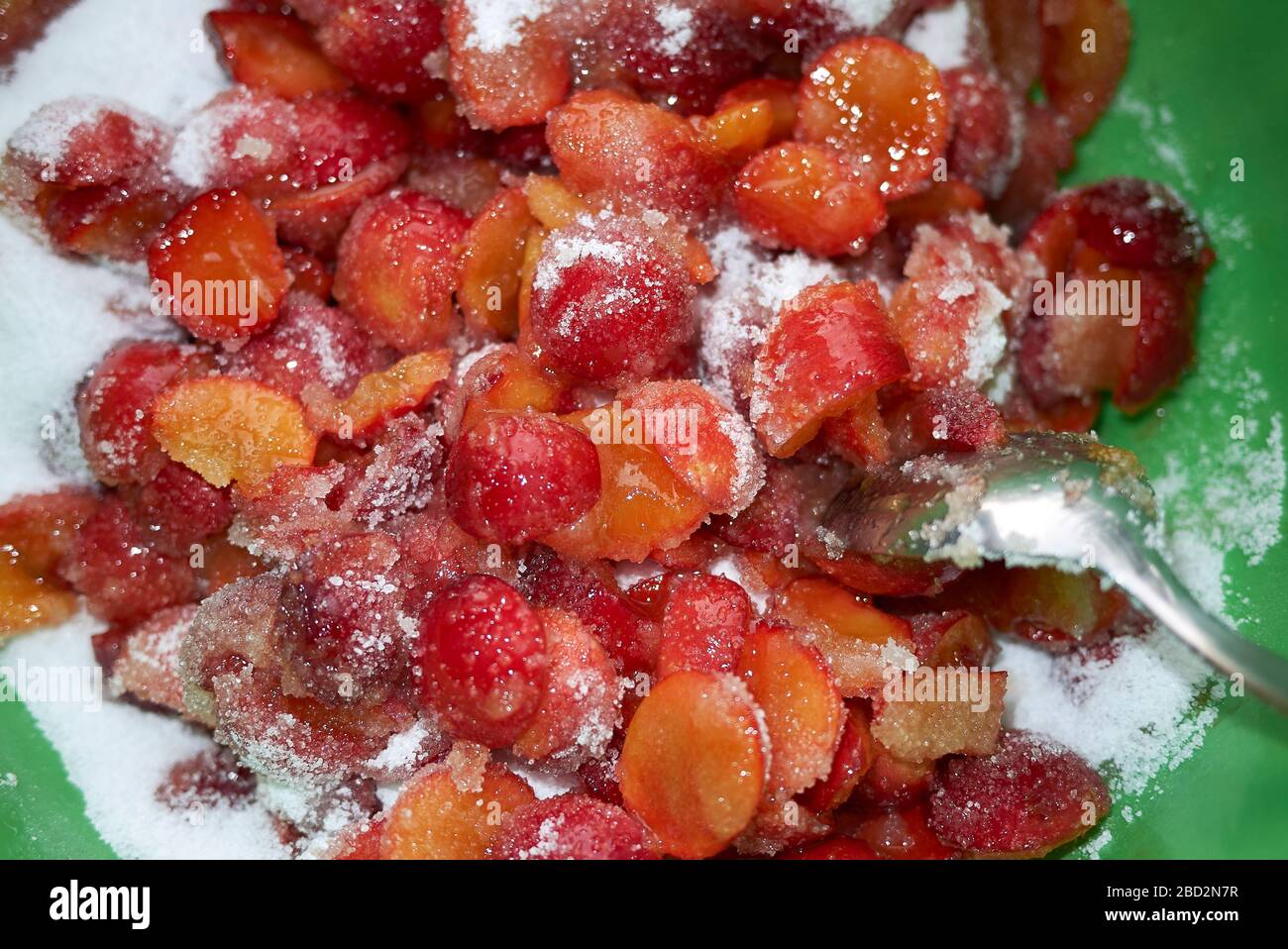 Prune de cerisier mûre pour la marmelade Banque D'Images