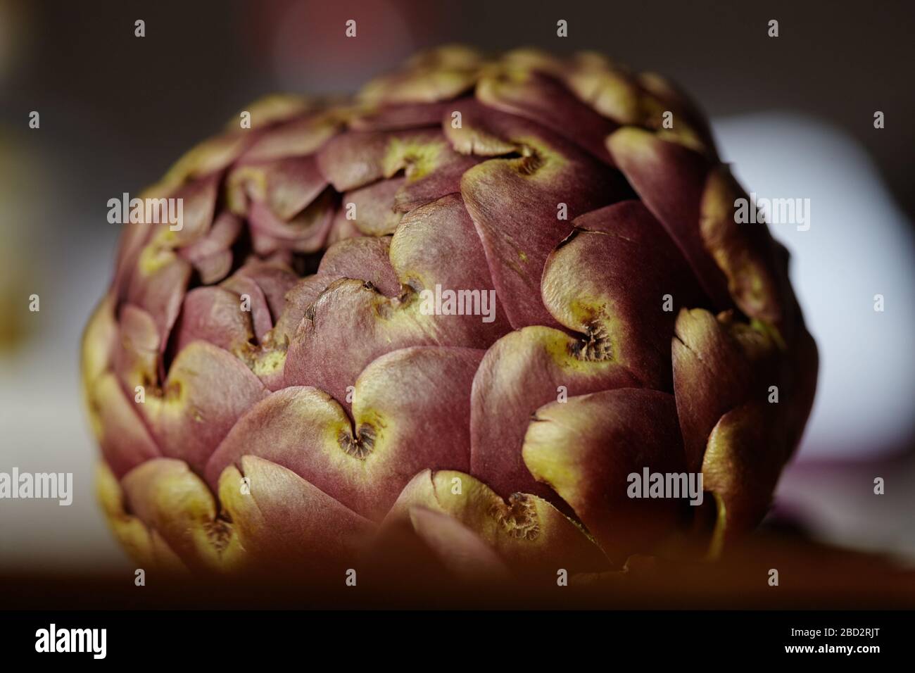 La tête violette de l'artichaut tourne lentement sur une table tournante. Banque D'Images