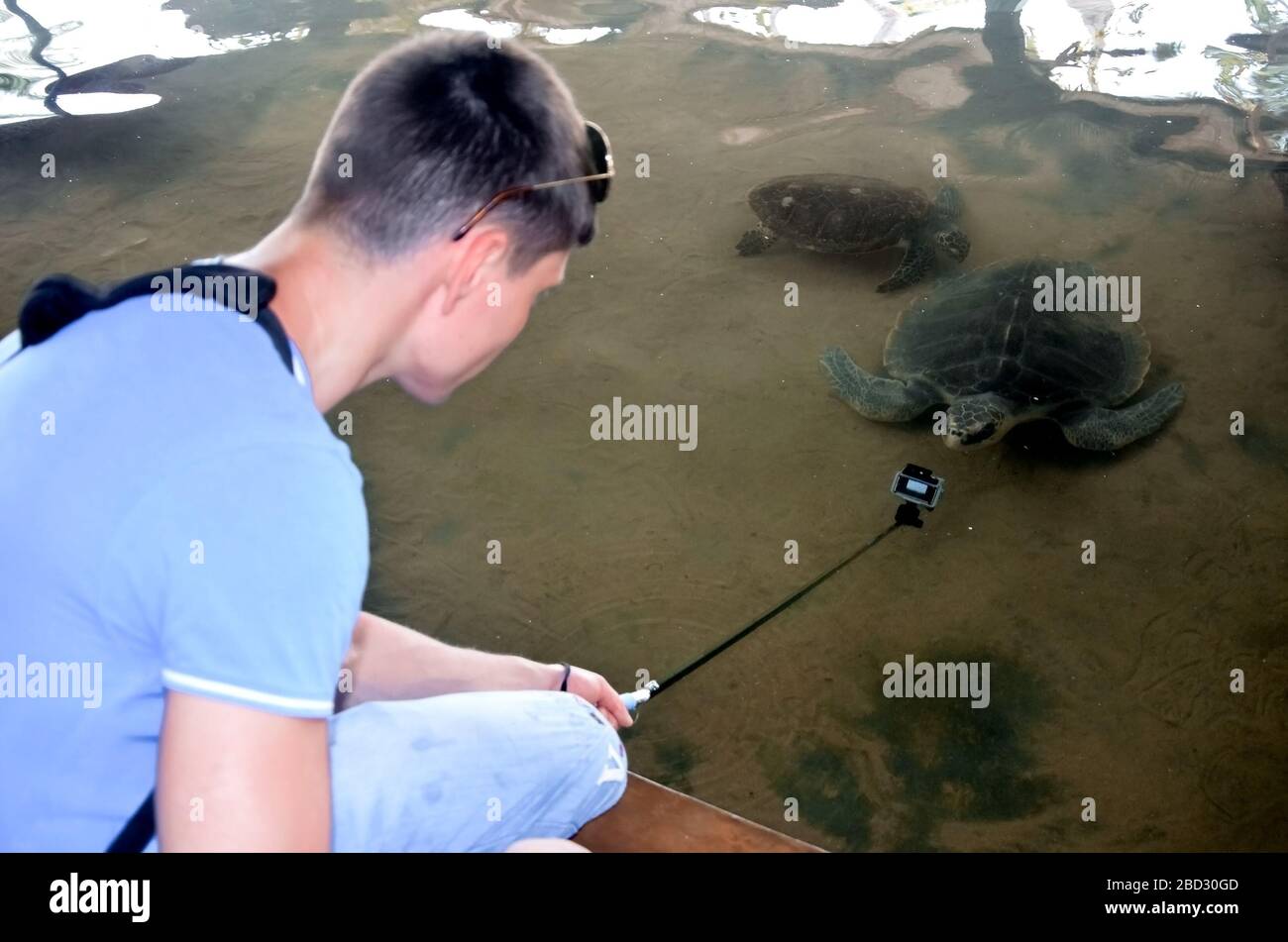 Jeune homme brunette avec appareil photo libère la tortue dans l'eau, le volontaire sauve les tortues, la protection des animaux, le garçon prend des photos de tortue. Sauver les animaux S Banque D'Images