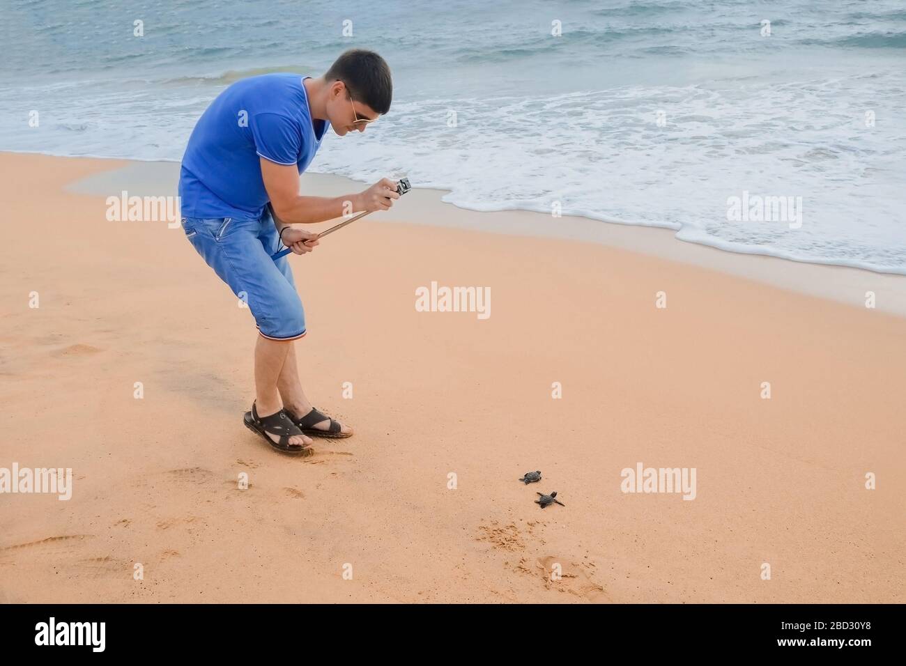 Brunette gars avec caméra marchant le long de la plage. Un jeune couple heureux tenant les tortues à la main, des volontaires sur la rive sauveront et libèrent les tortues dans l'océan. Se Banque D'Images