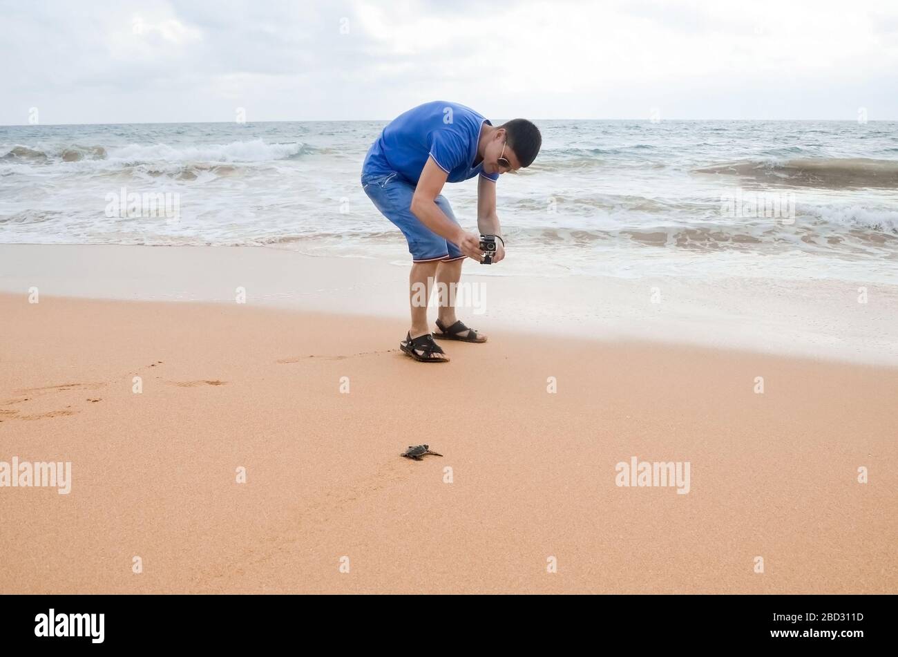 Brunette gars avec caméra marchant le long de la plage. Un jeune couple heureux tenant les tortues à la main, des volontaires sur la rive sauveront et libèrent les tortues dans l'océan. Se Banque D'Images