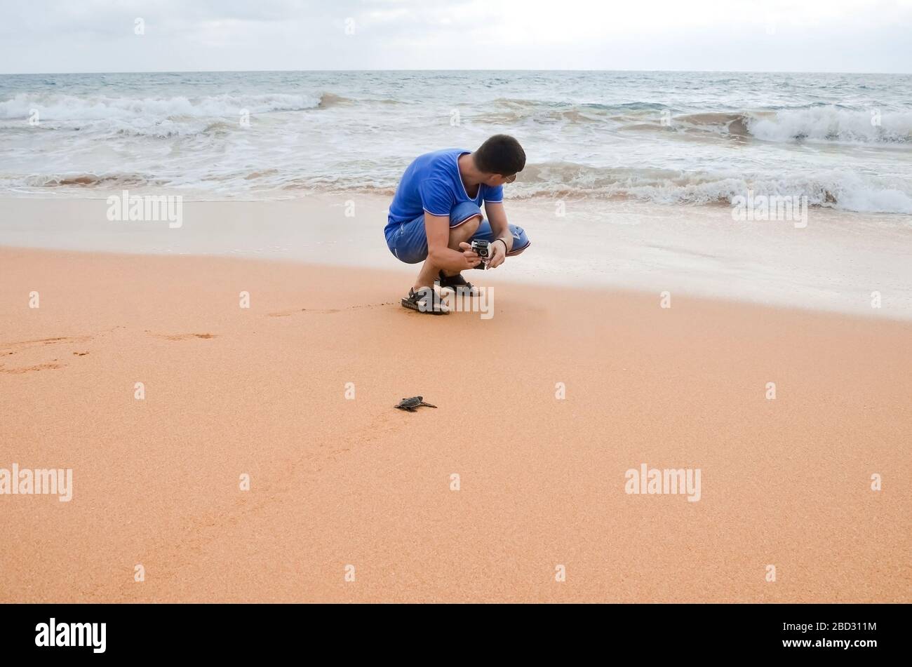 Brunette gars avec caméra marchant le long de la plage. Un jeune couple heureux tenant les tortues à la main, des volontaires sur la rive sauveront et libèrent les tortues dans l'océan. Se Banque D'Images
