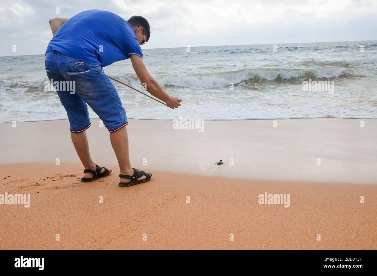 Brunette gars avec caméra marchant le long de la plage. Un jeune couple heureux tenant les tortues à la main, des volontaires sur la rive sauveront et libèrent les tortues dans l'océan. Se Banque D'Images
