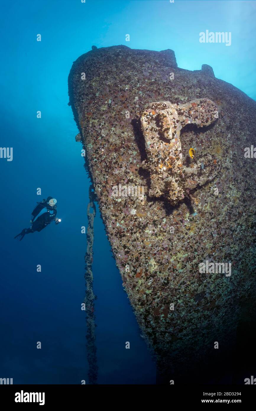 Plongée sous-marine, ancre, chaîne d'ancrage, naufrage, SS Thistlegorm, Mer Rouge, Shaab Ali, péninsule du Sinaï, Egypte Banque D'Images