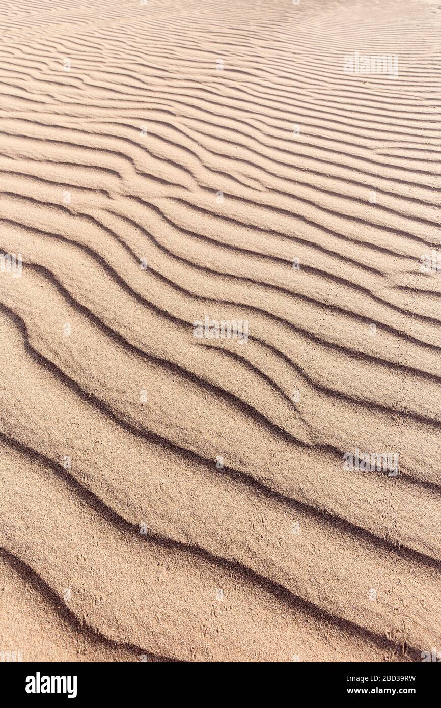 Paysage dans le désert de la ville de M’Hamid El Ghizlane au Maroc. Banque D'Images