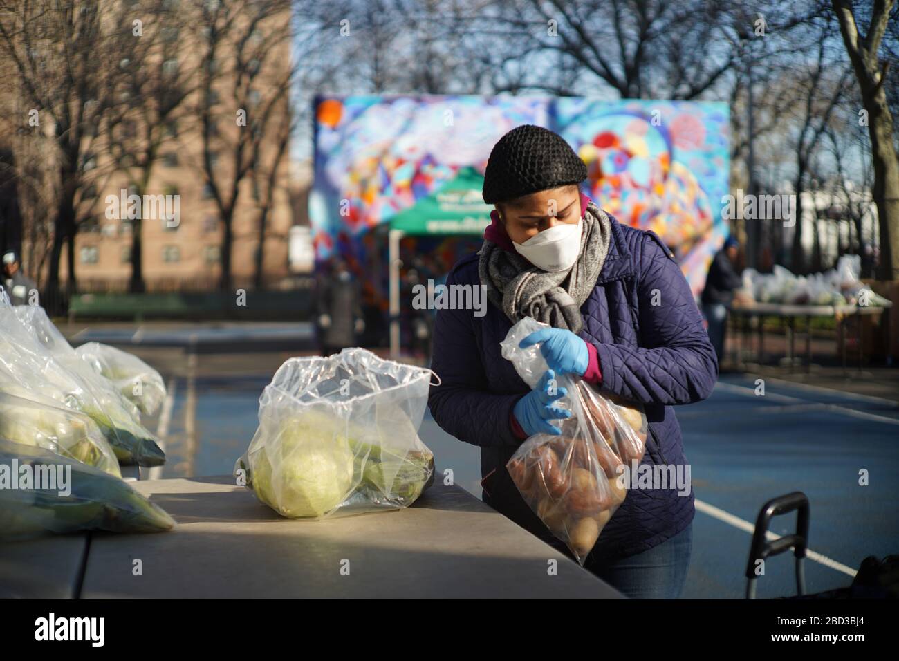 Les bénévoles de City Harvest Mobile Markets distribuent de l'aide alimentaire fraîche dans le cadre de la COVID-19, réponse au coronavirus le 18 mars 2020 à Bedford-Stuyvesant, Brooklyn, New York. Banque D'Images