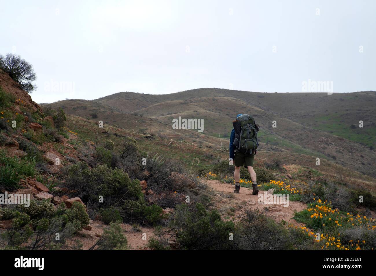 L'homme marche sur un sentier accidenté dans les montagnes Superstition de l'Arizona Banque D'Images