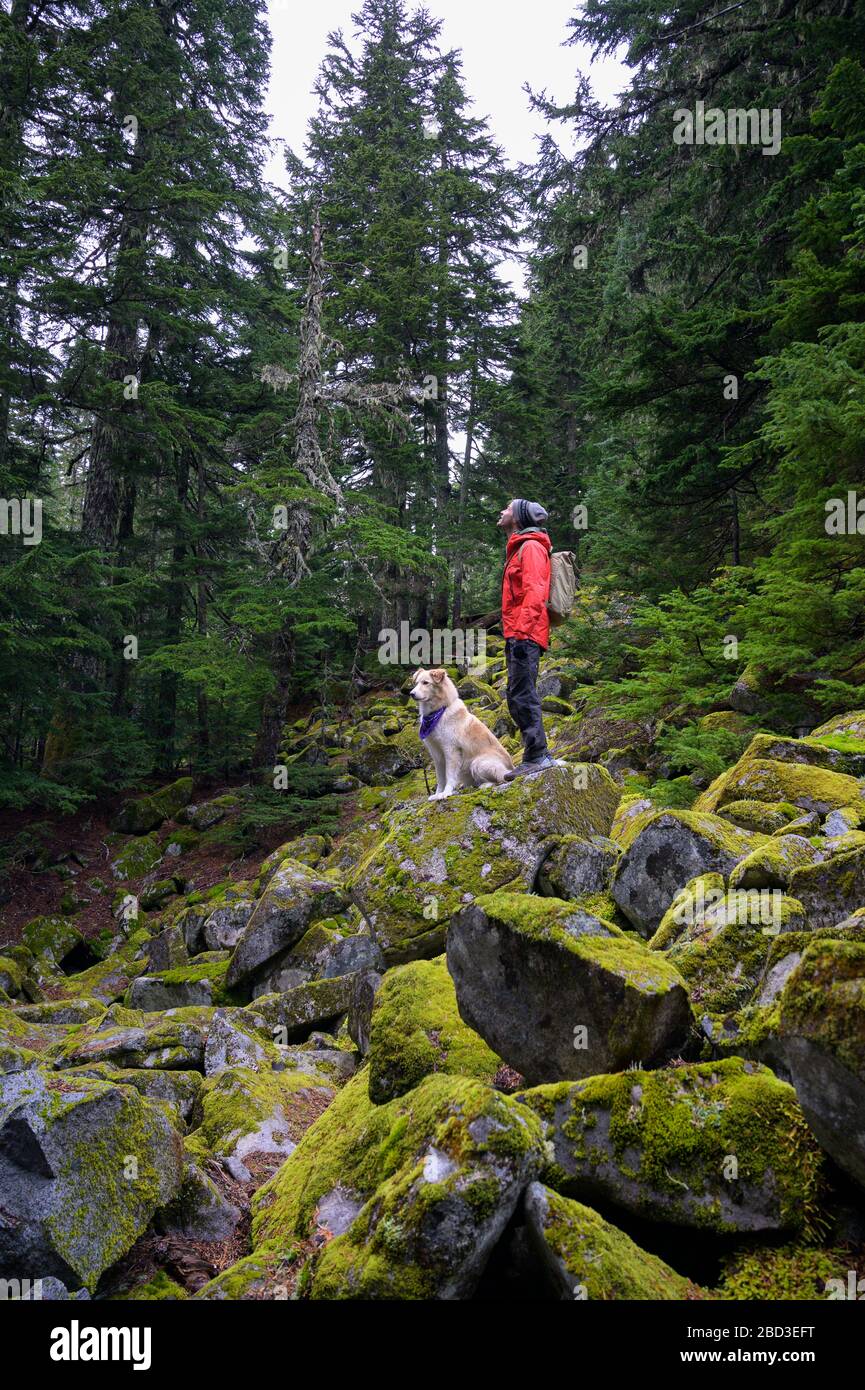 Randonneur et chien moelleux debout sur des rochers mousseux dans les montagnes Banque D'Images