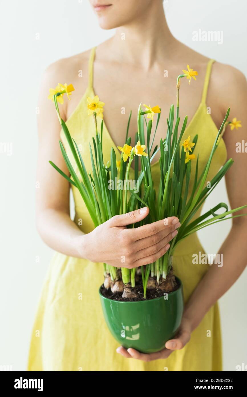 Femme en robe jaune rustique tenant dans les mains pot vert avec des fleurs jaunes fraîches narcissus. Concept de ressort. Photo verticale. Banque D'Images