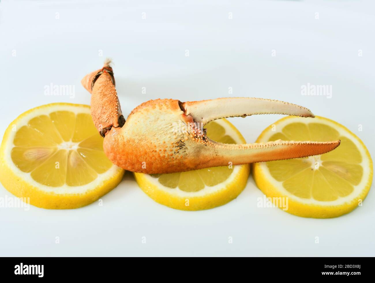 Crabes de fiddler cuites et quartiers de citron. Plat andalou typique Banque D'Images