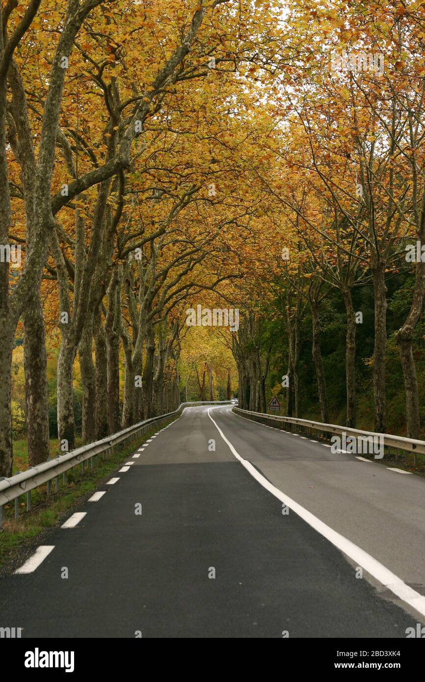 Vue d'automne de l'autoroute D118 le long de la rivière Aude dans le sud de la France Banque D'Images