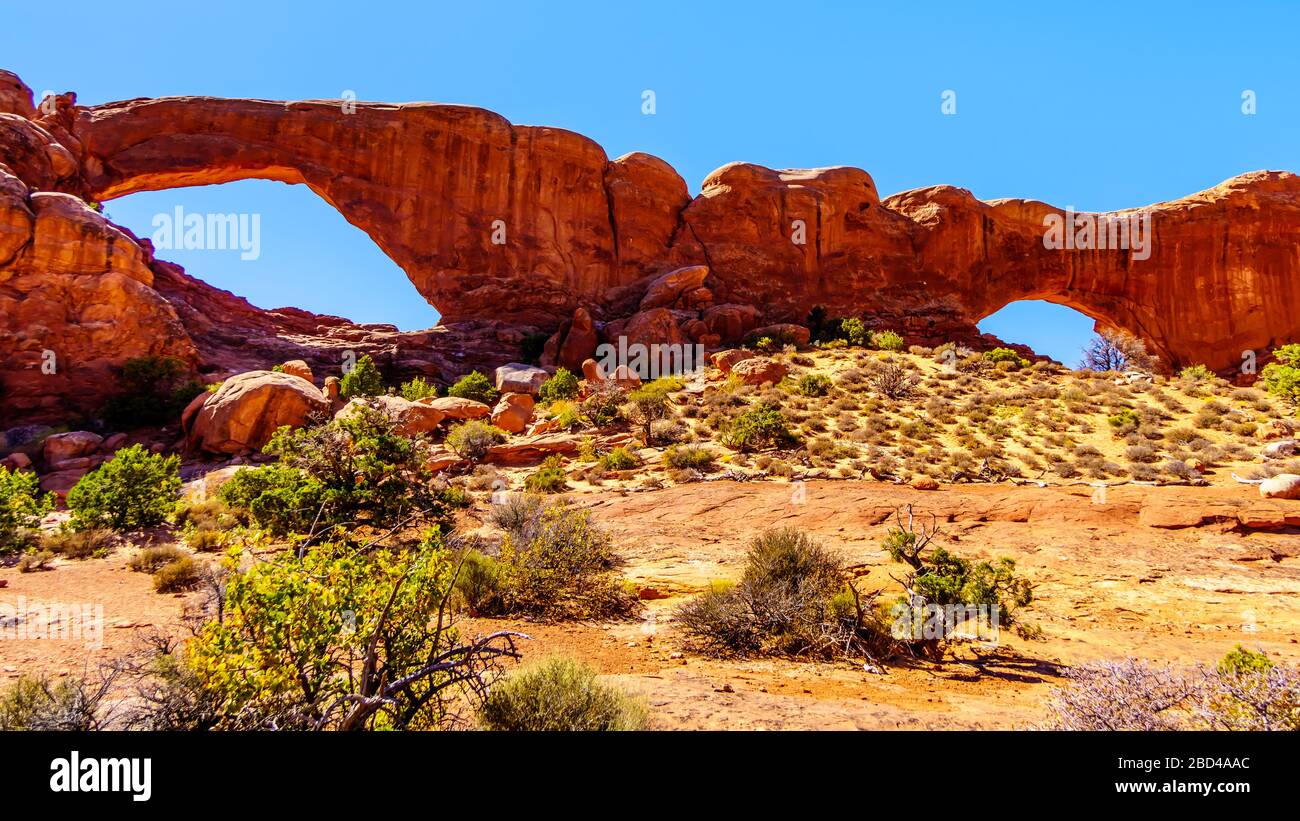 L'arche de fenêtre sud dans la section Windows dans le paysage désertique du parc national d'Arches, Utah, États-Unis Banque D'Images