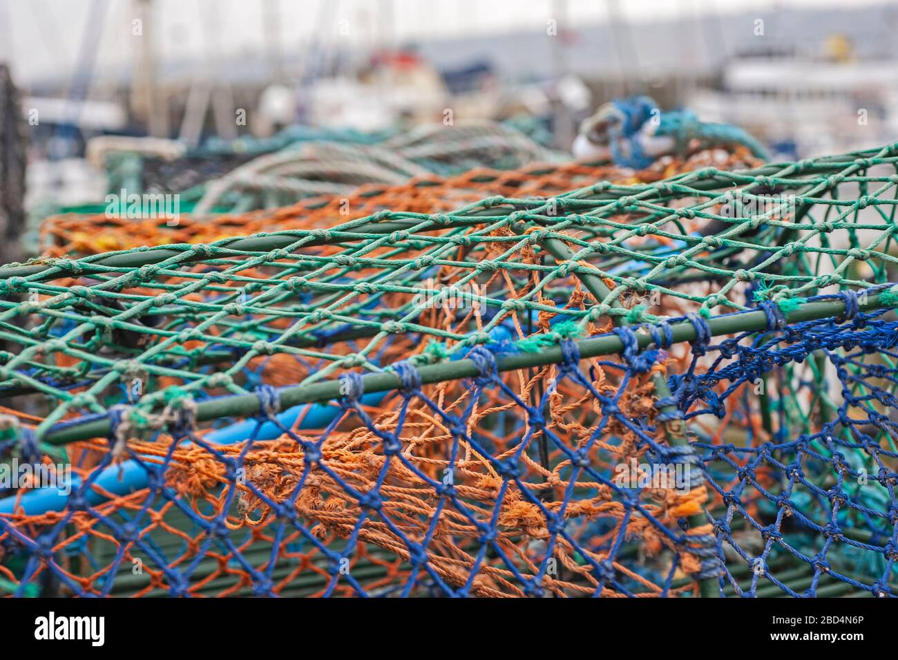 Gros plan des homards sur un quai du port en bord de mer Banque D'Images