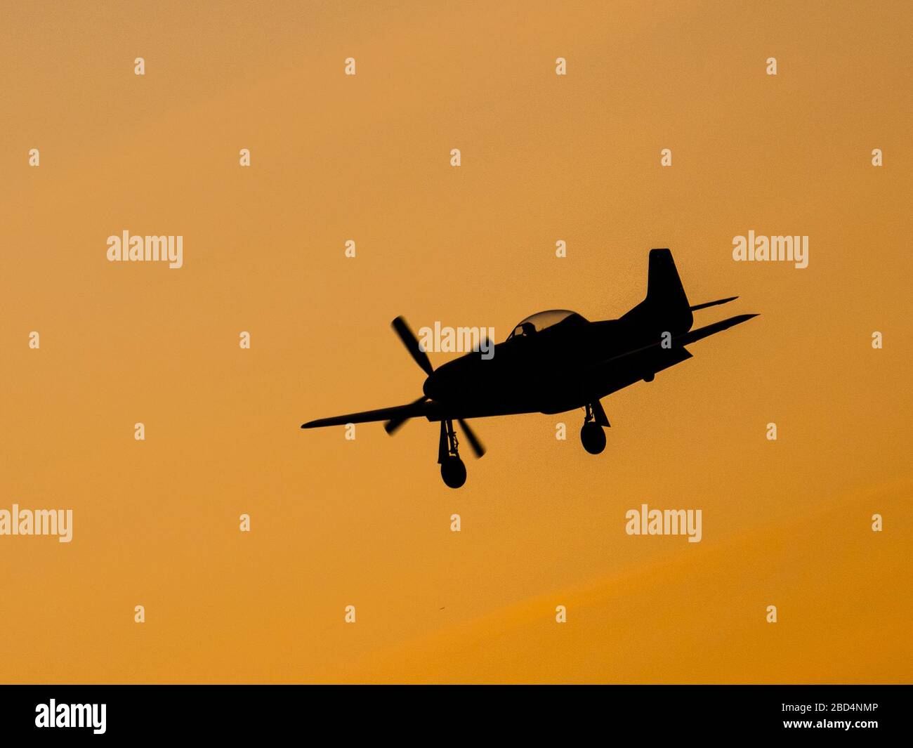 Mustang P-51 D, Goodwood Revival 2019 West Sussex Royaume-Uni Banque D'Images