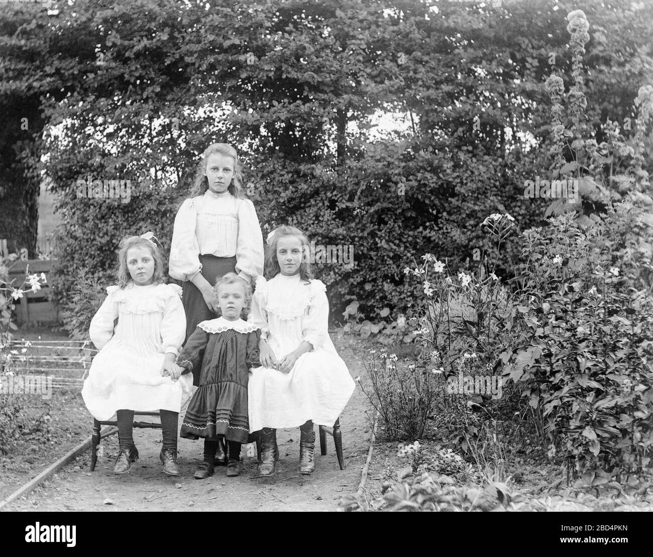 Une photo ancienne en anglais vintage noir et blanc édouardien montrant quatre sœurs posant pour le photographe dans leur jardin arrière. La sœur aînée debout à l'arrière, les deux soeurs moyennes assis sur des chaises, la plus jeune soeur debout entre elles. Banque D'Images