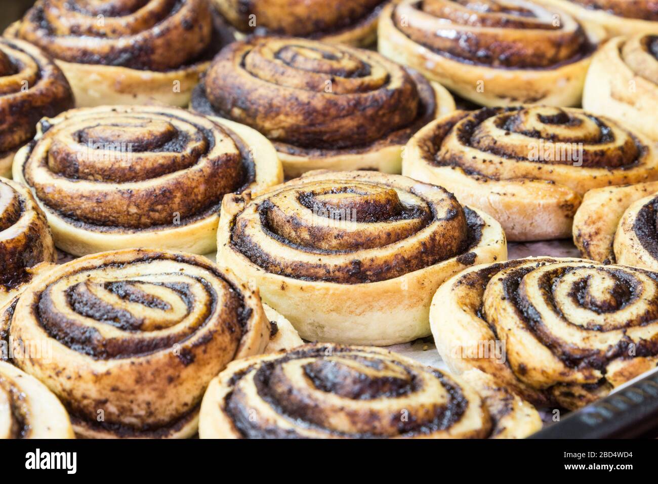 Baking kakaos csiga (cacacacacaos ou escargot), dessert hongrois traditionnel à la maison, Hongrie, Europe Banque D'Images