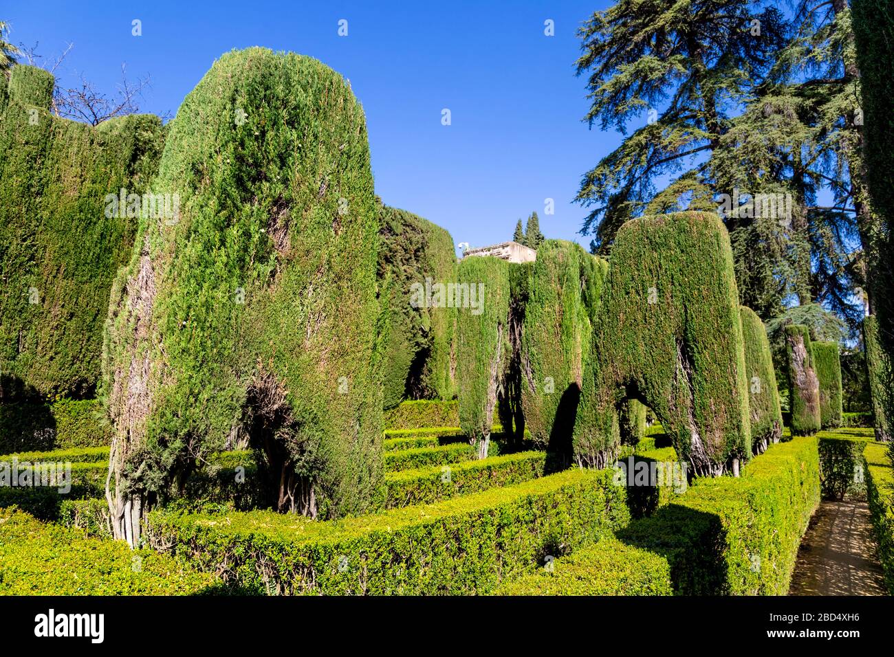 Jardín del Laberinto - le jardin Maze à l'Alcázar royal de Séville, Andalousie, Espagne Banque D'Images