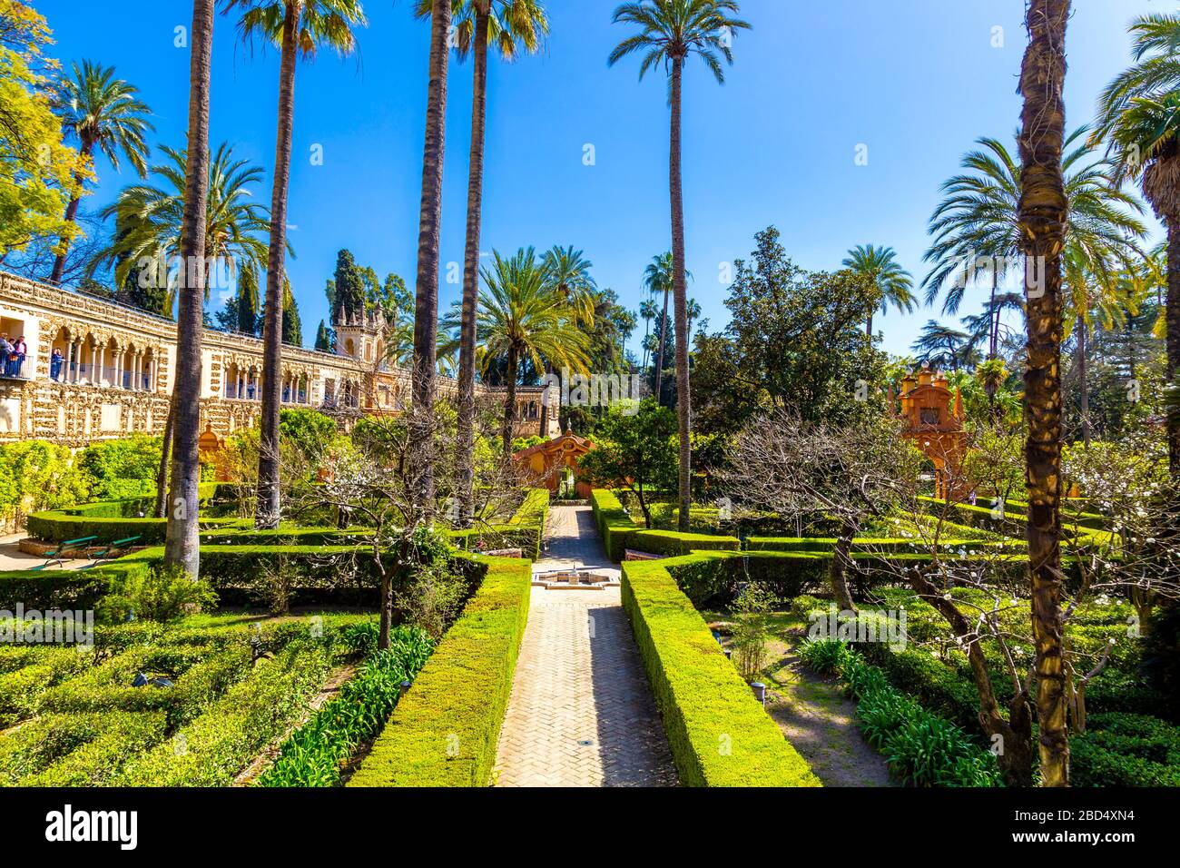 Jardín de las Damas - jardin des dames à l'Alcázar royal de Séville, Andalousie, Espagne Banque D'Images