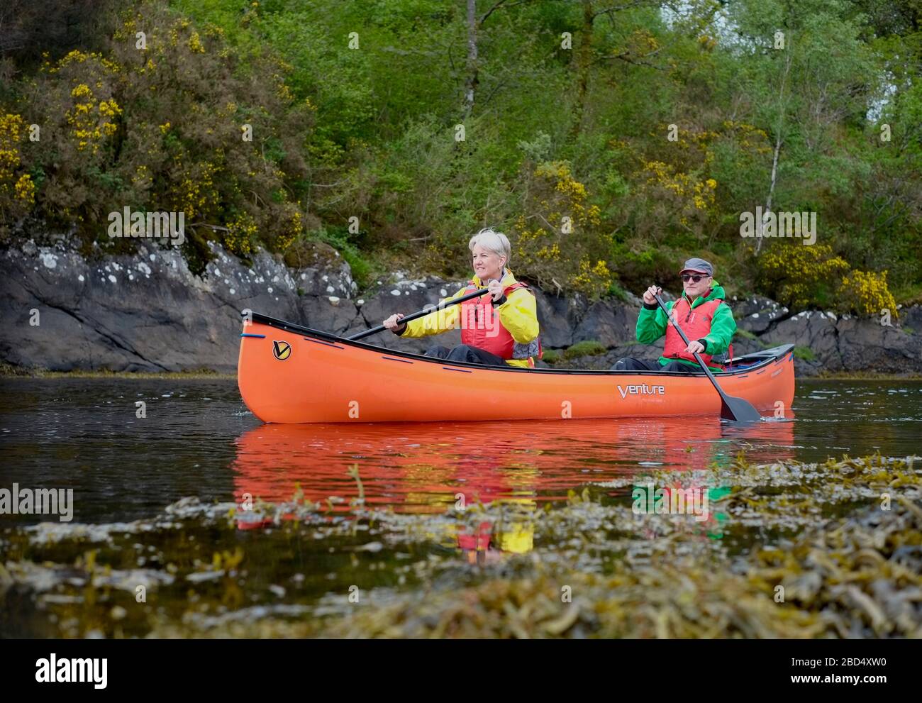 Pagayage sur le Loch Aline sur la péninsule de Morvern pendant un voyage d'aventure lente Banque D'Images