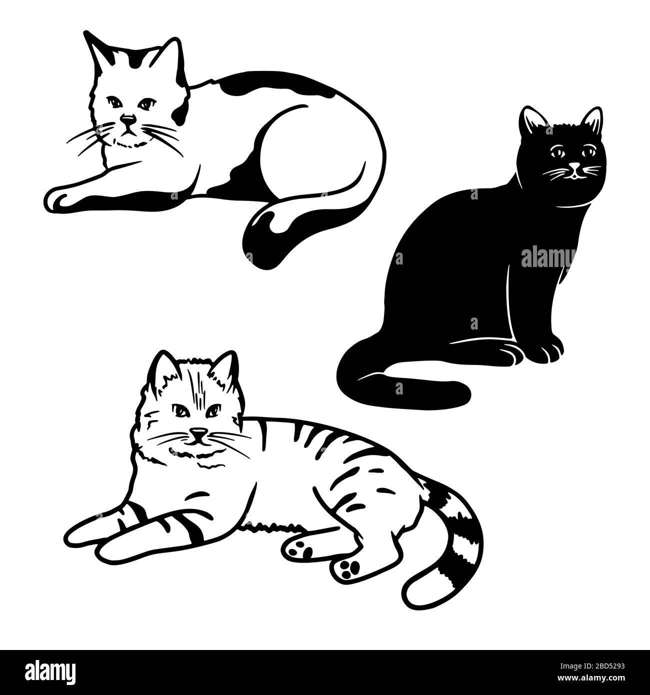 Ensemble de chats mignons isolés sur un fond blanc. Illustration vectorielle Illustration de Vecteur